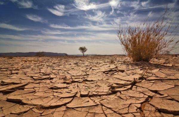 
ФАО, ПРООН и ЮНЕСКО готовят доклад о засухе на Ближнем Востоке