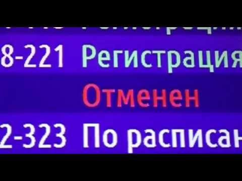 
Египет: сообщение о возобновлении полетов в Россию было преждевременным