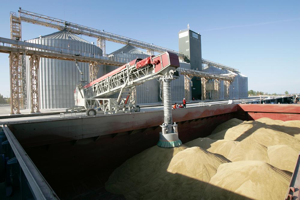 
Египет: запасы пшеницы обеспечивают 6-месячную потребность