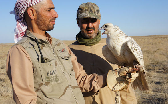 
Объединенные Арабские Эмираты намерены профинансировать охотничье хозяйство Узбекистана