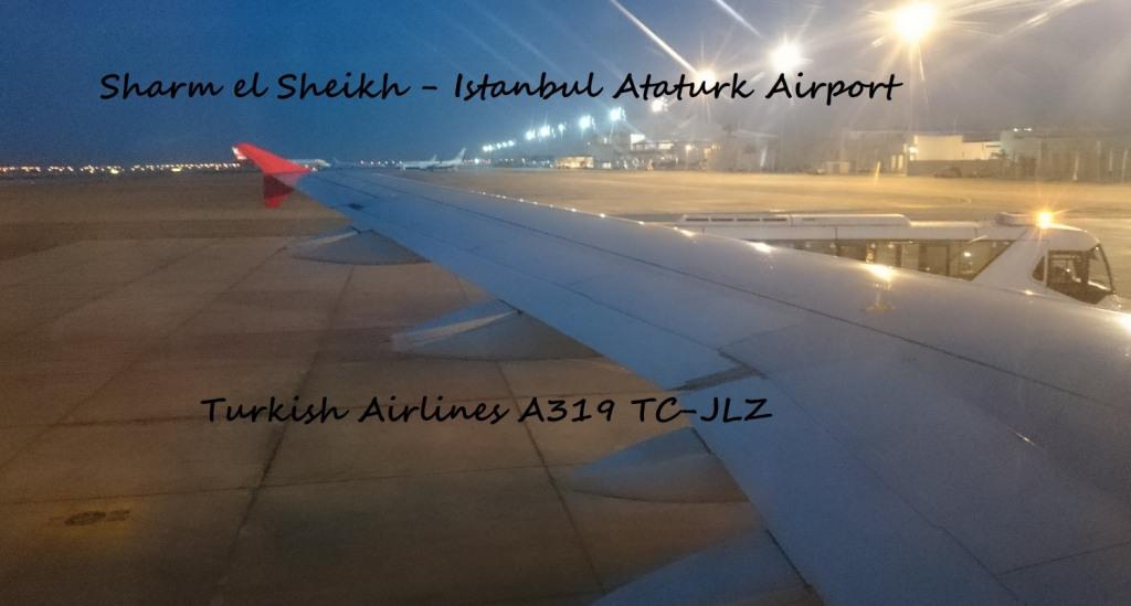 
Авиакомпания Turkish Airlines отменила все рейсы в Шарм-эш-Шейх до конца ноября