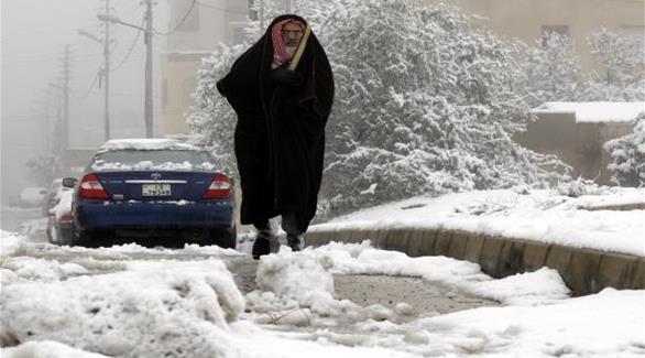
Снежная буря парализовала Ливан: два человека погибли