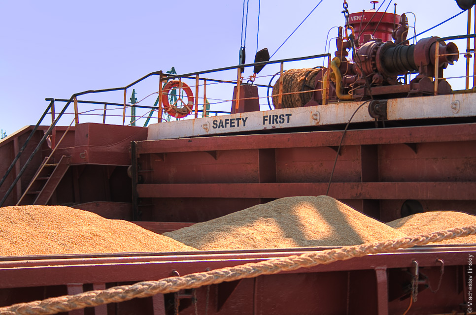 
Египет объявляет тендер на закупку пшеницы