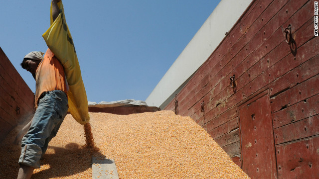 
Марокко резко повысит пошлину на импорт мягкой пшеницы