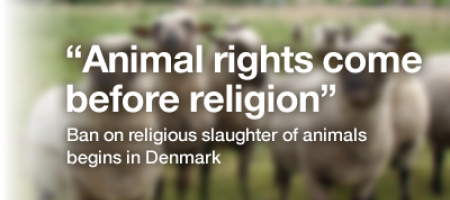 
Запрет на халяльное мясо обойдется Дании в миллионы долларов