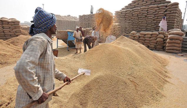 
Египет отказался смягчить требования к качеству импортной пшеницы
