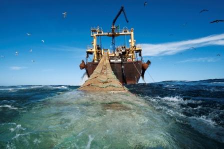 
Суда ЕС получили доступ к мавританской рыбе