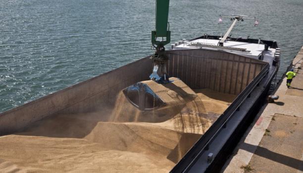 
В следующем сезоне Иордания увеличит импорт зерна