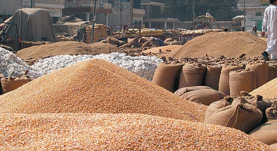 
В январе импорт зерна в Алжир уменьшился на 16%