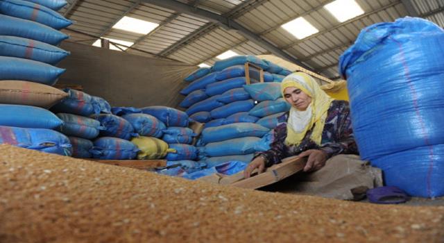 
Импорт пшеницы в Марокко упадет до 2,8 млн. т